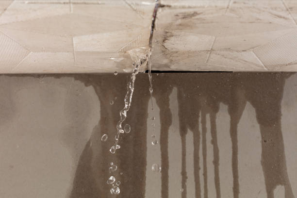 Professional Burst Pipe Cleanup technician working in Clayton, NJ